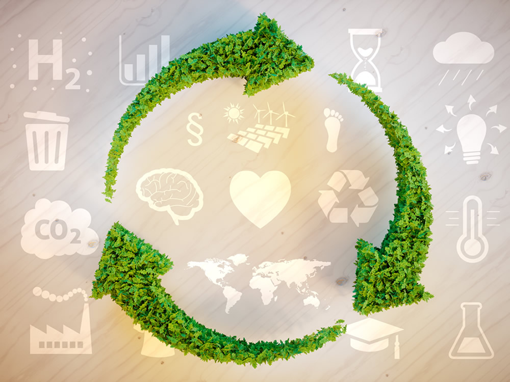 ESTUDO E PROJETO DE MINIMIZAÇÃO DE EMISSÕES DE CO2 E EFICIÊNCIA ENERGÉTICA