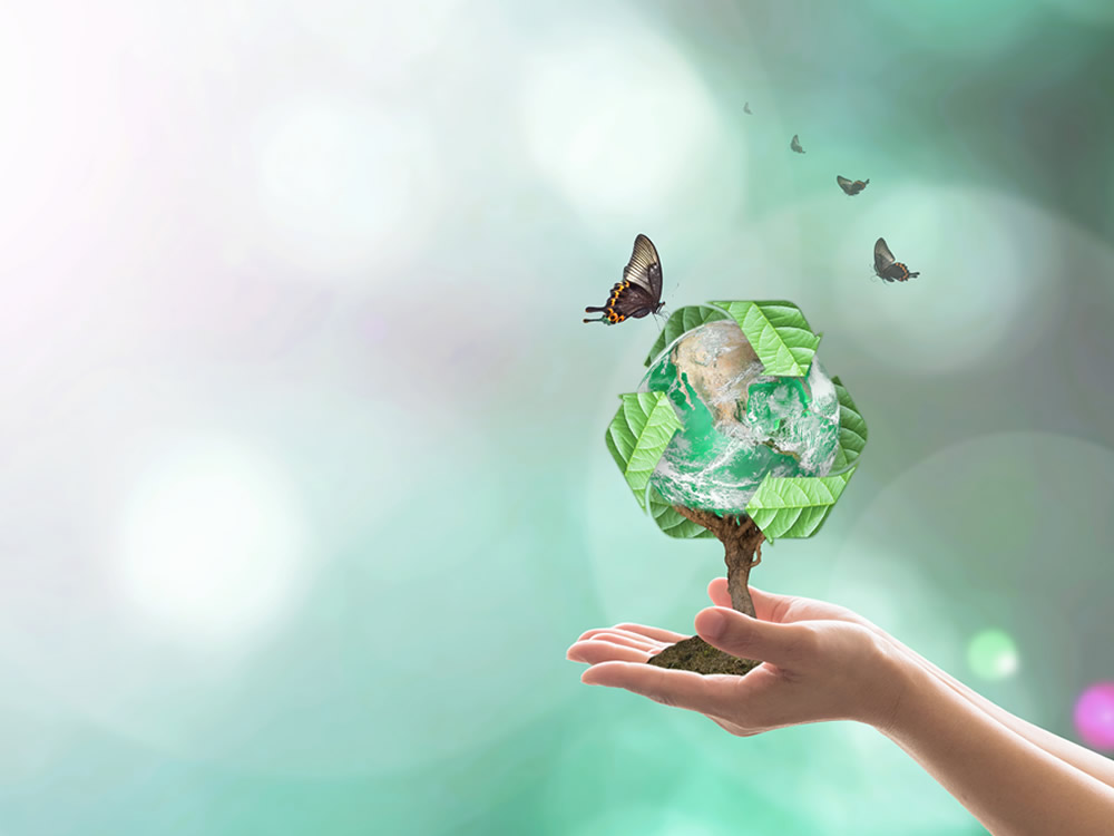 RELATÓRIO AMBIENTAL SIMPLIFICADO (RAS) / ESTUDO AMBIENTAL